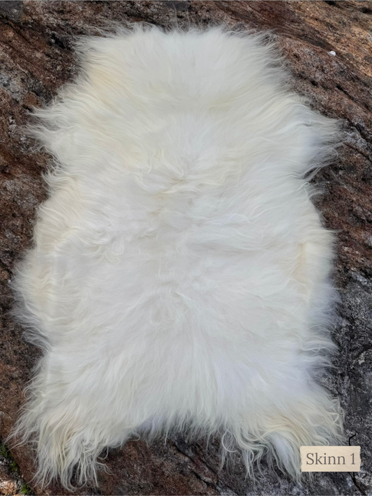 Hvitt islandsk saueskinn medium – Skinn 1