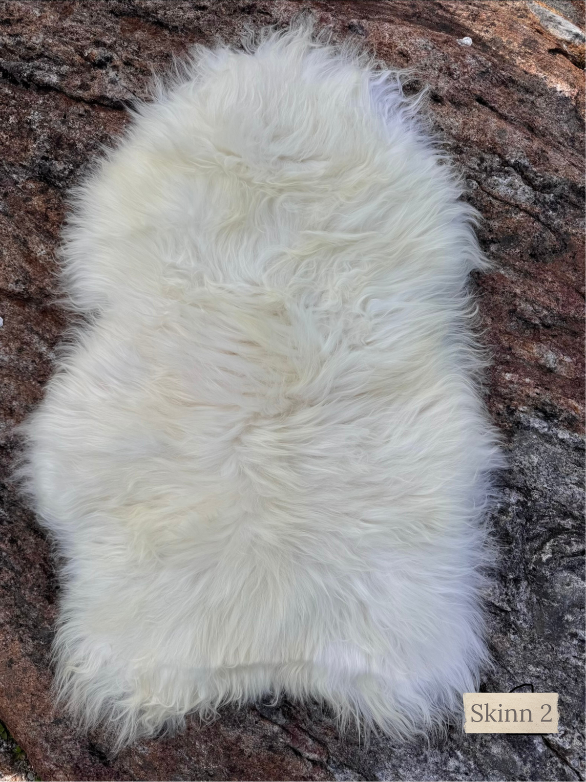 Hvitt islandsk saueskinn medium – Skinn 2