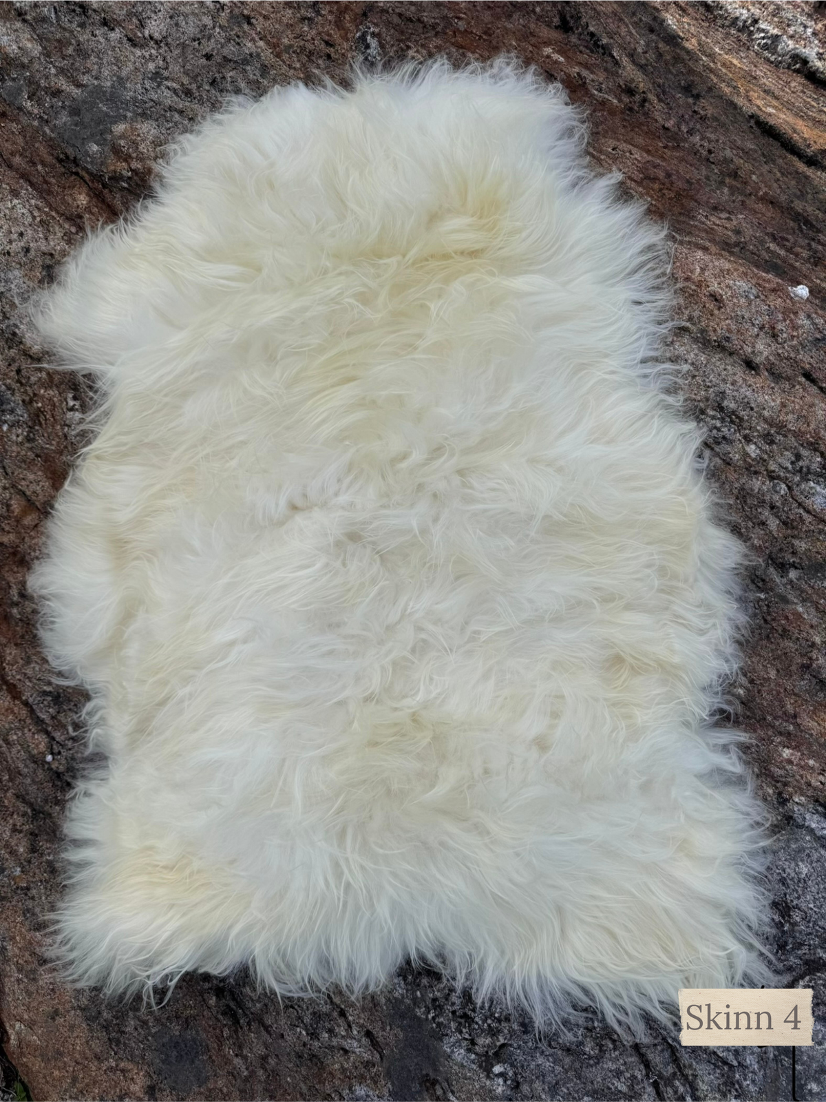 Hvitt islandsk saueskinn medium – Skinn 4